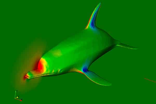 Aprende un poco de hidrodinámica para mejorar tu natación